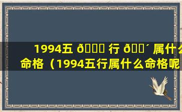 1994五 🕊 行 🐴 属什么命格（1994五行属什么命格呢女孩）